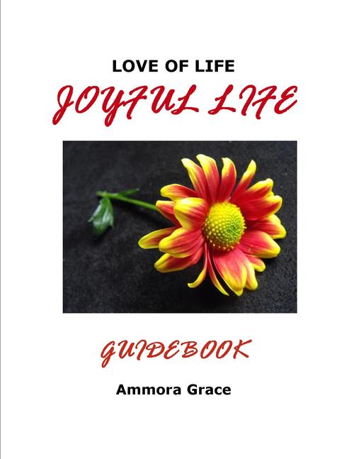 Product picture Joyful Life Guidebook